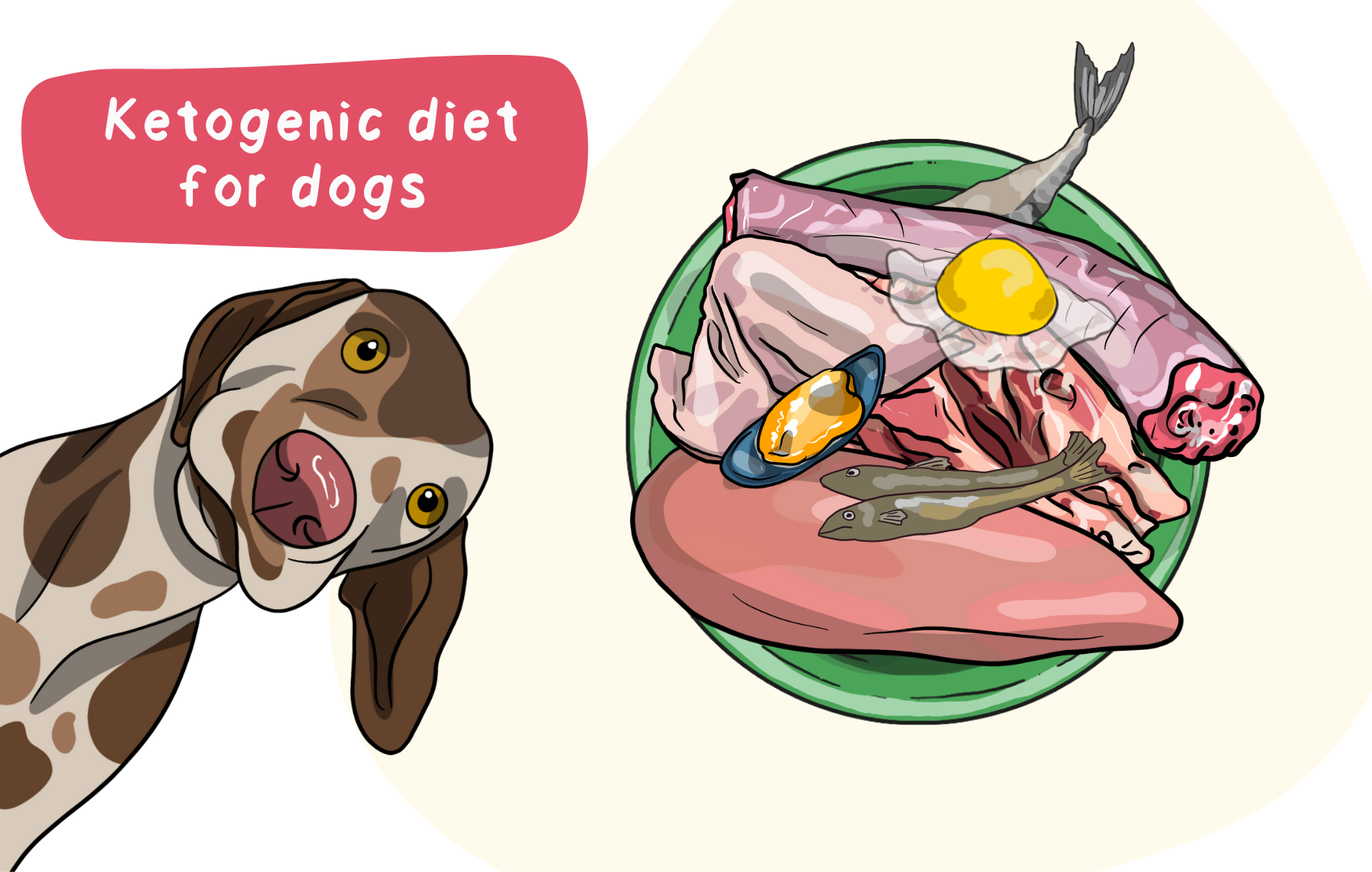 Ketogenic Diet For Dogs